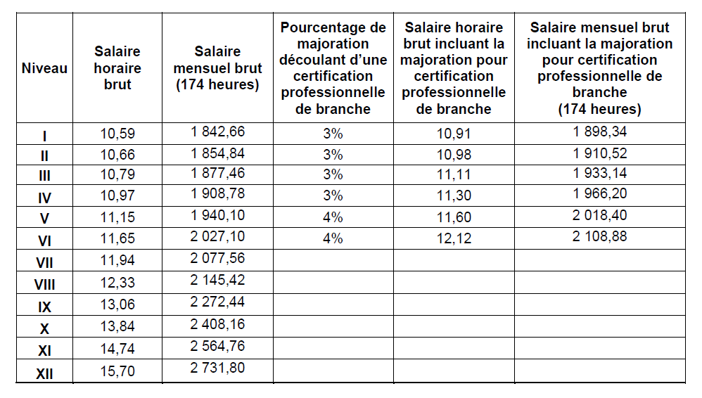 Grille-salaire-CCN-SPE.png