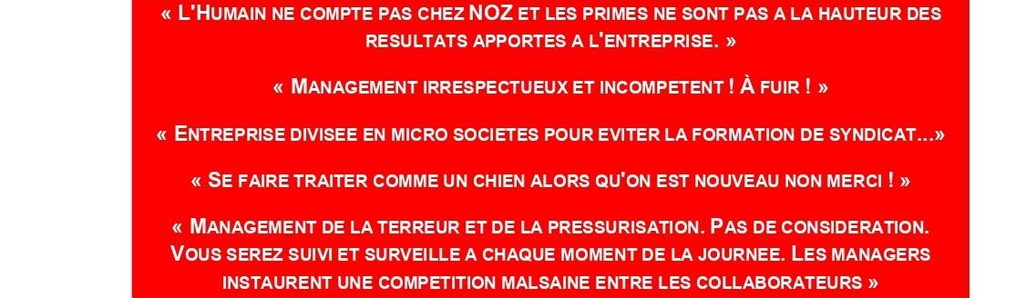 Temoignages-Noz.jpg
