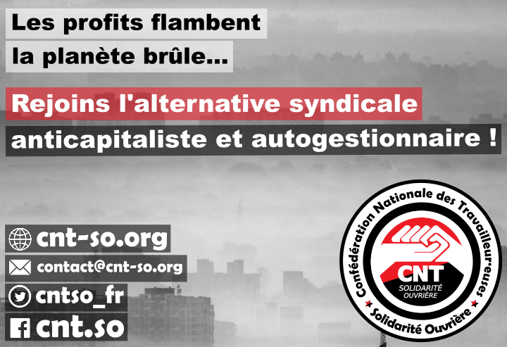 cnt_so_profits_flambent.png