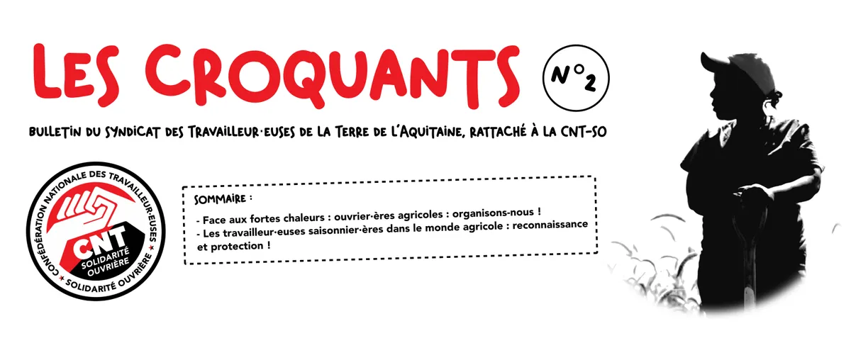Les croquants n°2 – Été 2025