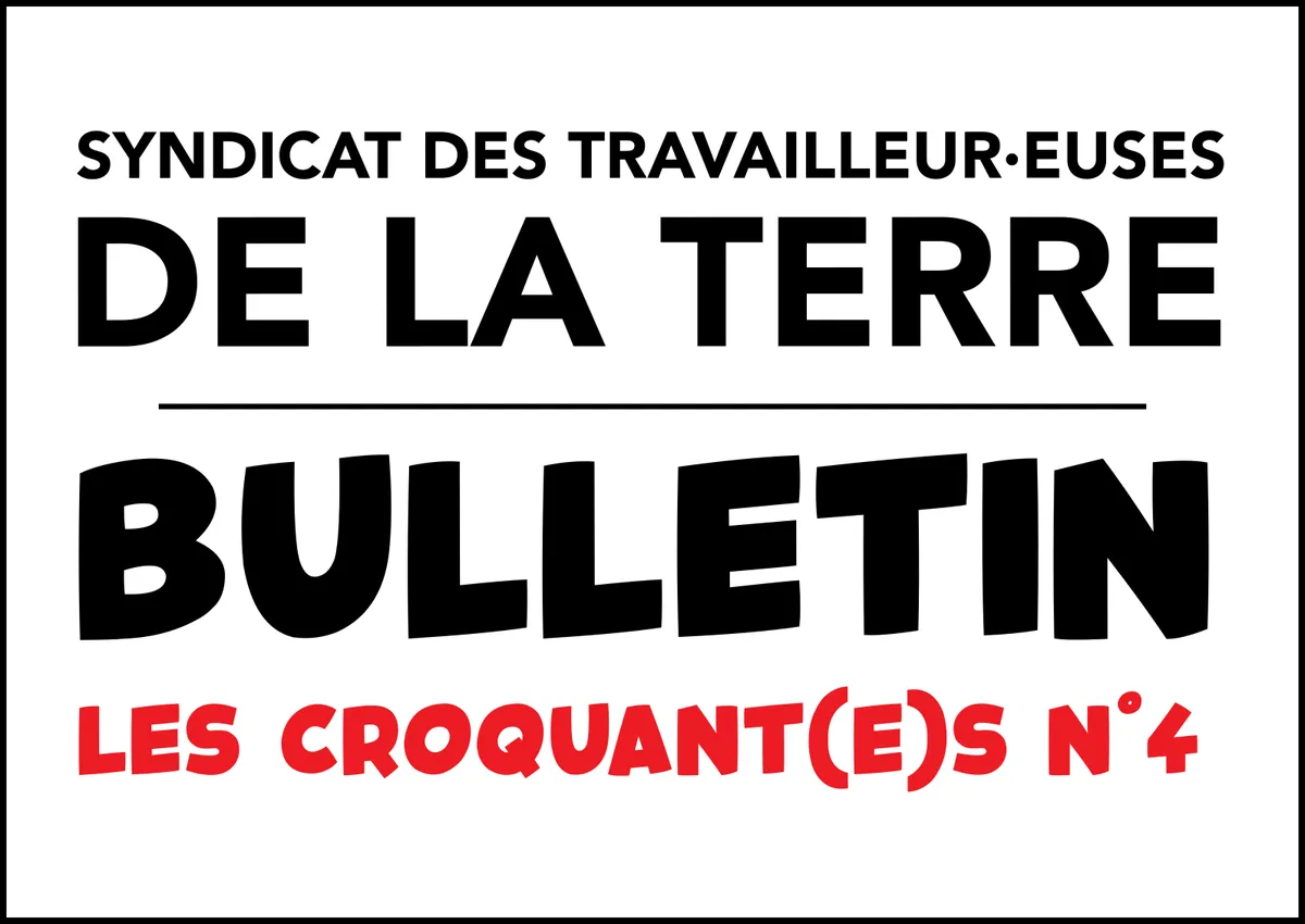 Les croquant(e)s n°4 – été 2026