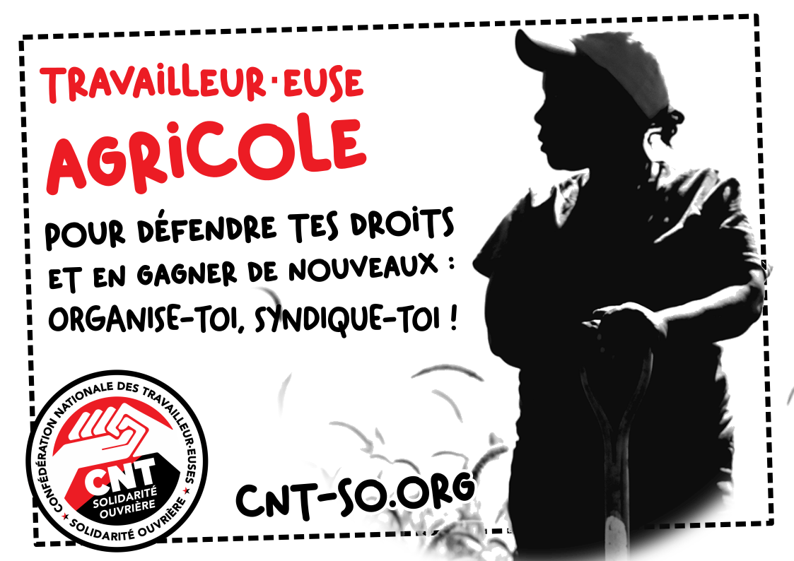 Les croquant(e)s n°3 – Printemps 2026
